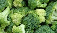 Germogli di broccoli un’arma contro il cancro al seno