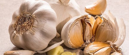 Uno studio sull’aglio indica che migliora la memoria