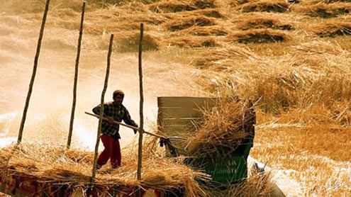 L'Agricoltura Italiana