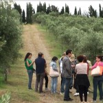 8-cosrsisti-master-green-economy-dieta-mediterranea-escursione-in-campo