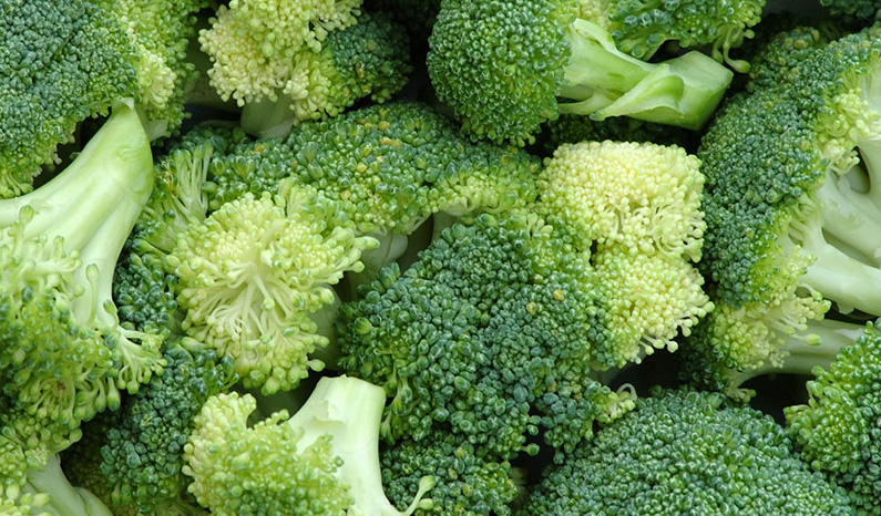 germogli-di-broccoli