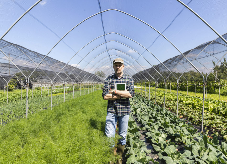 Portrait of Farmer with Digital Tablet in Greenhouse