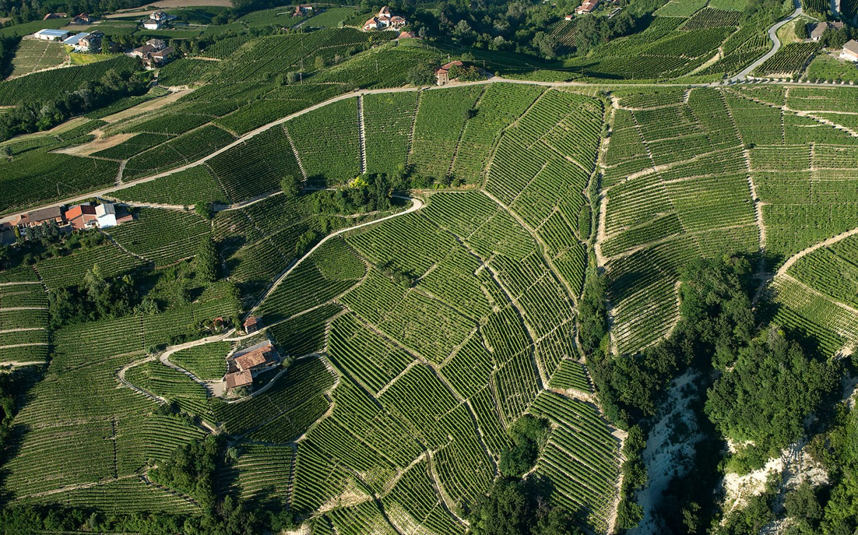 Il Monferrato, con Langhe e Roero, al top tra i distretti del vino