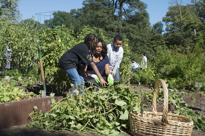 US First Lady Michelle Obama welcomes local students for the annual fall harvest of the White House Kitchen Garden