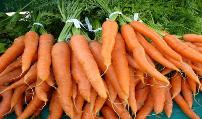 Dieta Mediterranea: la carota salutare