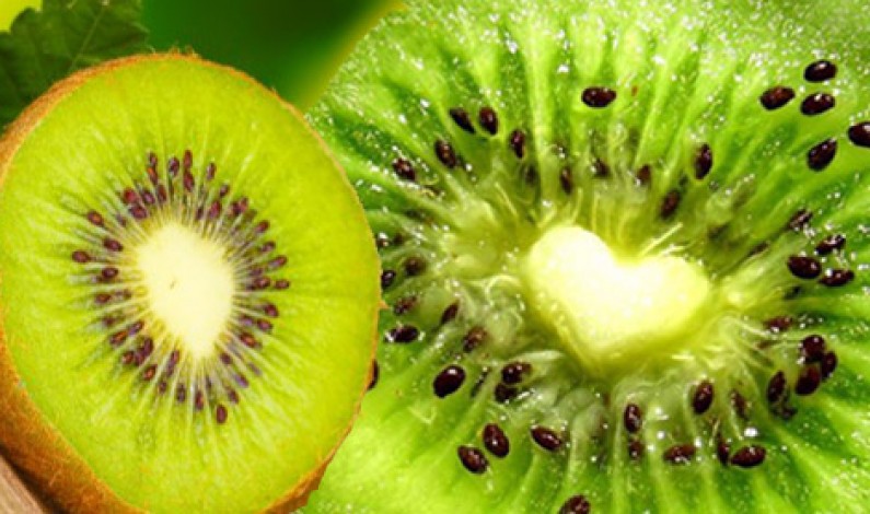 Alimentazione: due kiwi al giorno migliorano l’umore