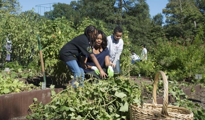 Michelle Obama lancia un’azienda di cibo sano per bambini